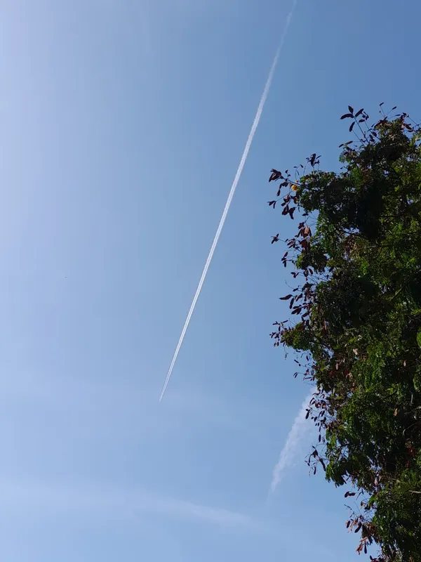 Glistening Gold: Pure Sunshine to Dominate the Thursday Forecast