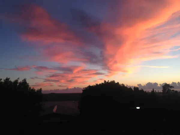 Golden Rays and Clear Horizons: Your Gold Coast Monday Forecast